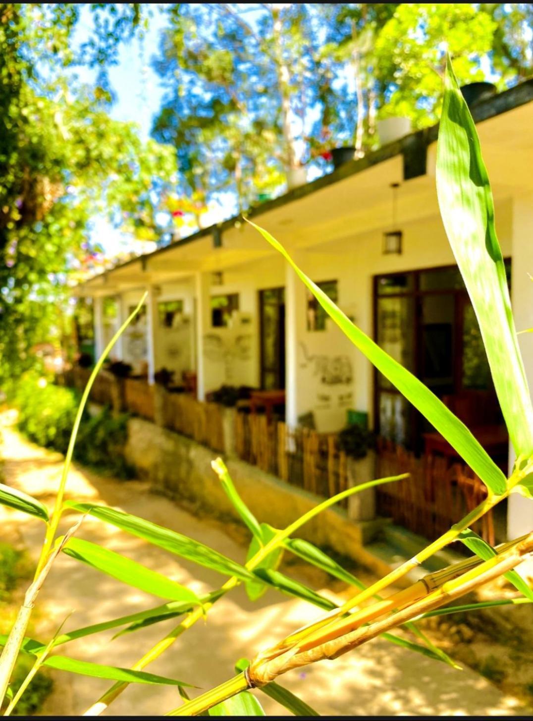 Blissful Haven Hotel Ella Kültér fotó