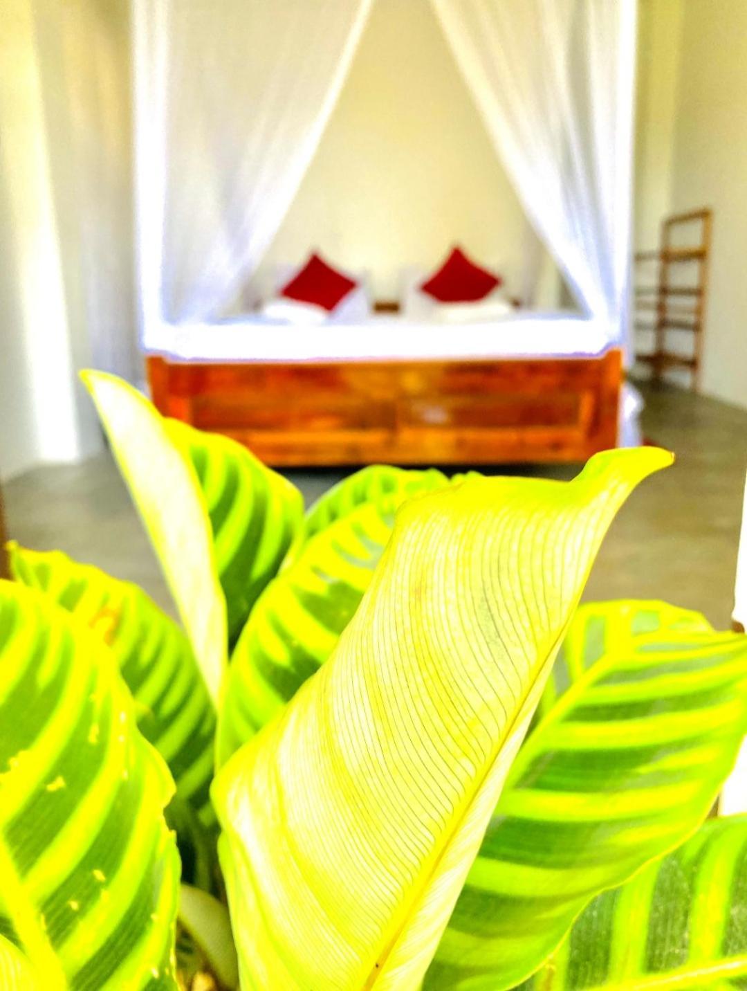 Blissful Haven Hotel Ella Kültér fotó